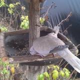 photo 2019-12-14 11-34-20