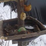 photo 2019-01-27 12-15-20