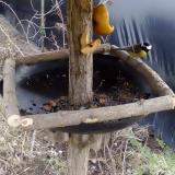 photo 2019-02-08 12-56-45