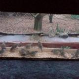 photo 2021-12-09 07-39-45