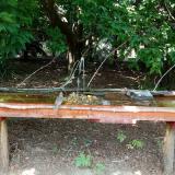 photo 2021-07-23 13-37-41