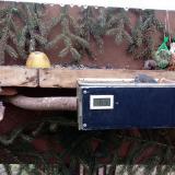 photo 2021-02-08 08-15-01