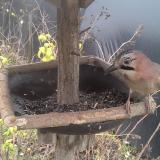 photo 2019-12-22 13-18-15