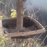 photo 2019-12-21 10-13-10