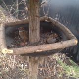 photo 2019-02-22 14-08-23