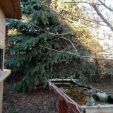 photo 2021-12-13 14-35-55