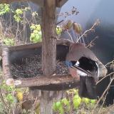 photo 2019-12-12 11-42-56