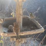 photo 2019-12-30 11-17-57