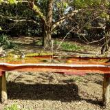 photo 2021-04-12 09-52-33