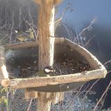 photo 2019-12-31 13-46-57