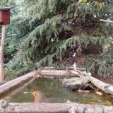 photo 2023-10-13 17-18-46