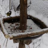 photo 2019-01-08 13-55-00