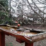 photo 2022-03-16 10-59-48