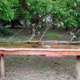 photo 2021-05-07 07-49-45