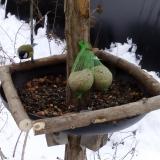 photo 2019-01-10 09-57-23