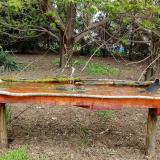 photo 2021-04-18 10-25-57