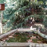 photo 2023-10-06 15-41-29