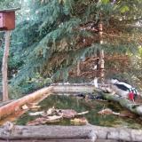 photo 2023-10-02 07-34-03