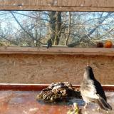 photo 2022-01-23 14-17-29