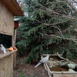 photo 2021-12-18 14-14-58