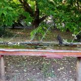 photo 2021-05-25 19-03-55