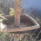 photo 2019-12-20 10-46-37