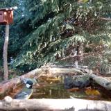 photo 2023-10-16 09-57-13