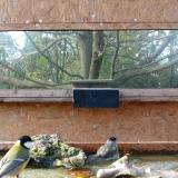 photo 2023-10-26 14-25-31