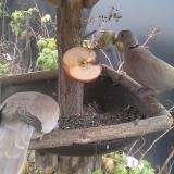 photo 2019-12-05 13-00-49