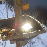 photo 2019-01-27 10-11-14