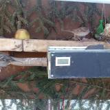 photo 2021-02-12 09-19-41