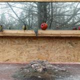 photo 2022-01-16 10-36-35