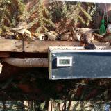 photo 2021-02-15 11-38-21