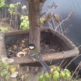 photo 2019-12-09 13-42-43