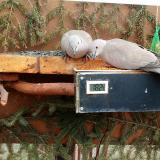 photo 2021-03-04 12-44-17