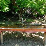 photo 2021-05-08 11-14-41