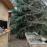 photo 2021-12-22 12-57-49