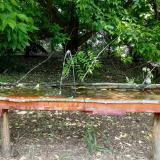 photo 2021-05-25 11-34-58