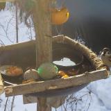 photo 2019-01-27 09-10-58