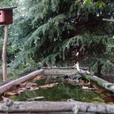 photo 2023-10-04 18-04-41