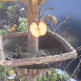 photo 2019-12-03 11-35-53