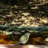 photo 2021-10-02 11-48-28 fitiszfuzike