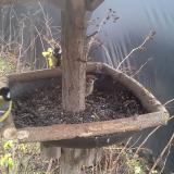 photo 2019-12-25 10-39-19