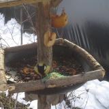 photo 2019-01-31 10-26-02