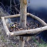 photo 2019-01-03 14-07-33