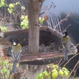 photo 2019-12-14 11-19-23