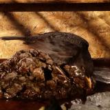 photo 2022-01-24 09-35-29 rigo