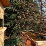 photo 2021-11-17 10-40-36