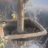 photo 2019-12-26 14-19-05