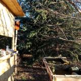 photo 2021-12-18 08-57-52